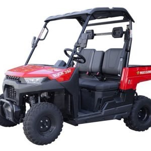Buy Massimo Buck 250X Golf UTV, 177cc EFI Engine, 4-Stroke Single Cylinder Power
