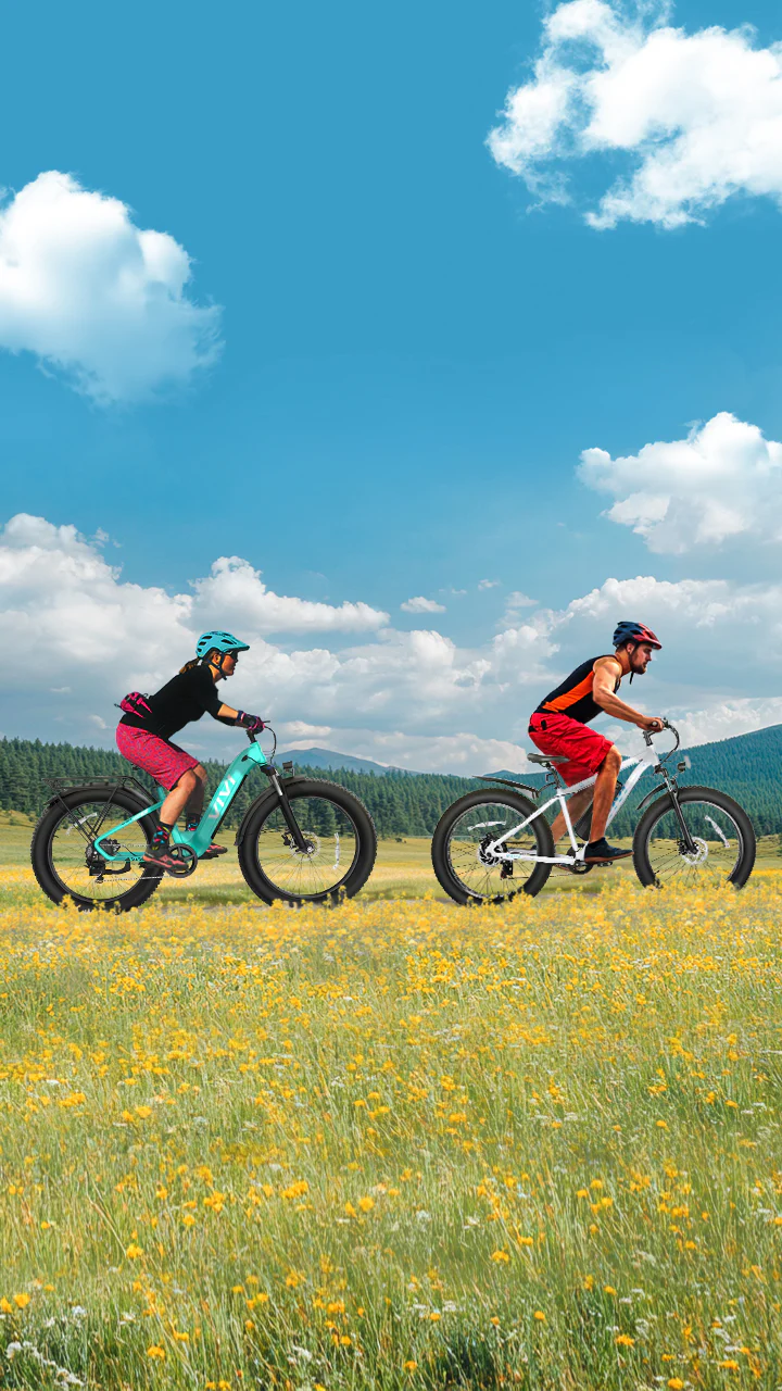 2025_VIVI_Electric_Bike