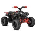 2025 Can-Am Renegade 110 EFI