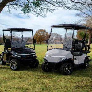 2026 Denago Scout 2 For Sale