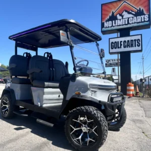 2026 Denago Rover XL Grey For Sale