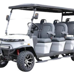 2026 Denago Rover XXL For Sale