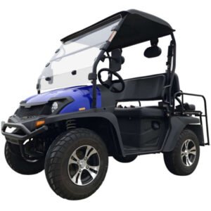 Trailmaster Taurus 200E GV UTV with EFI