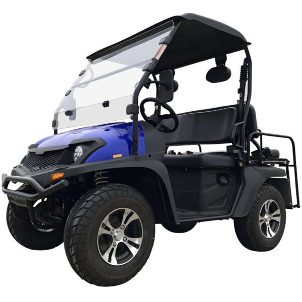 Trailmaster Taurus 200E GV UTV with EFI