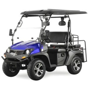 TrailMaster Taurus 200E GX UTV with EFI