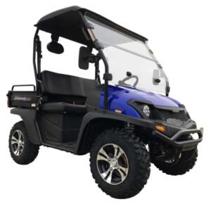 TrailMaster Taurus 200E U UTV with EFI