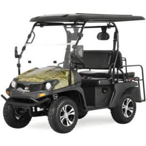 TrailMaster Taurus 200GX UTV