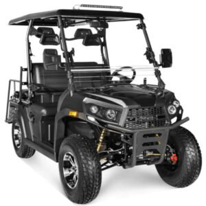 Vitacci Rover 200 EFI Golf Cart